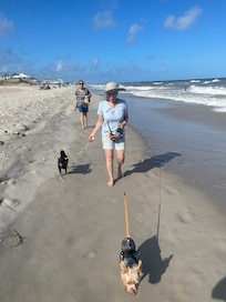 Beach walk with the fur babies