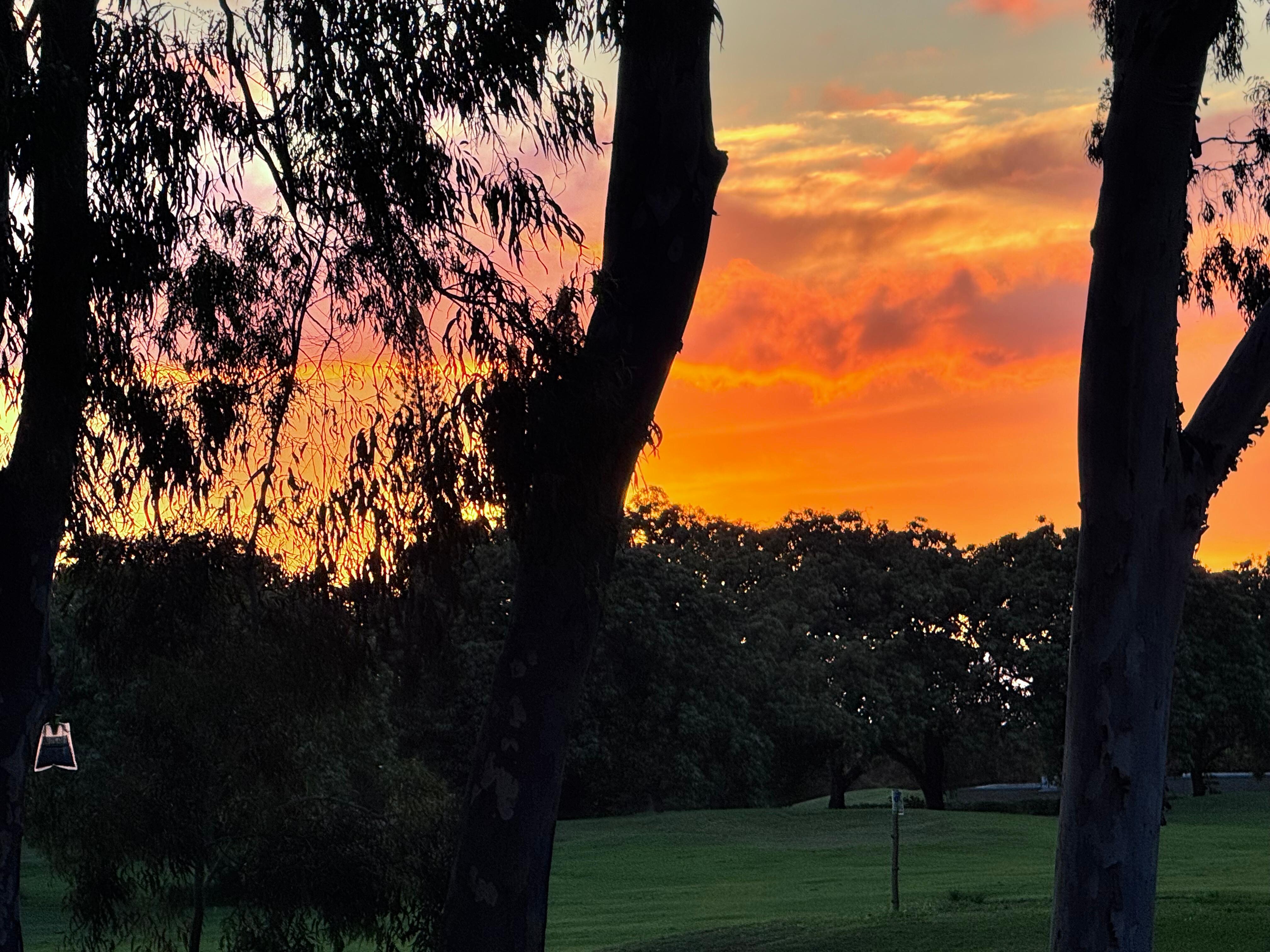 Back porch sunset view 
