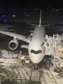 窓からこんな感じで見えました!