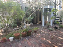 The backyard facing the house.
