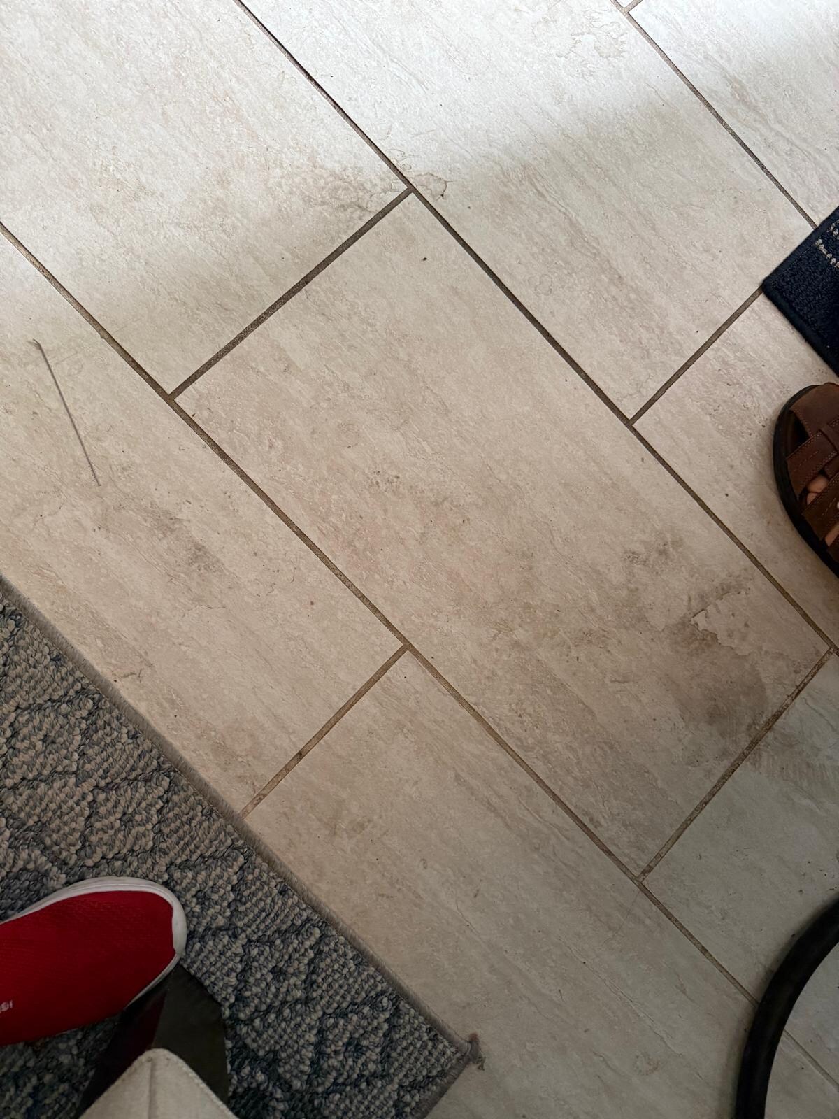 Filthy Floor
