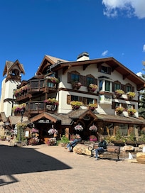 Beautiful flowers in Vail