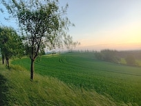 Uitzicht vanuit de tuin
