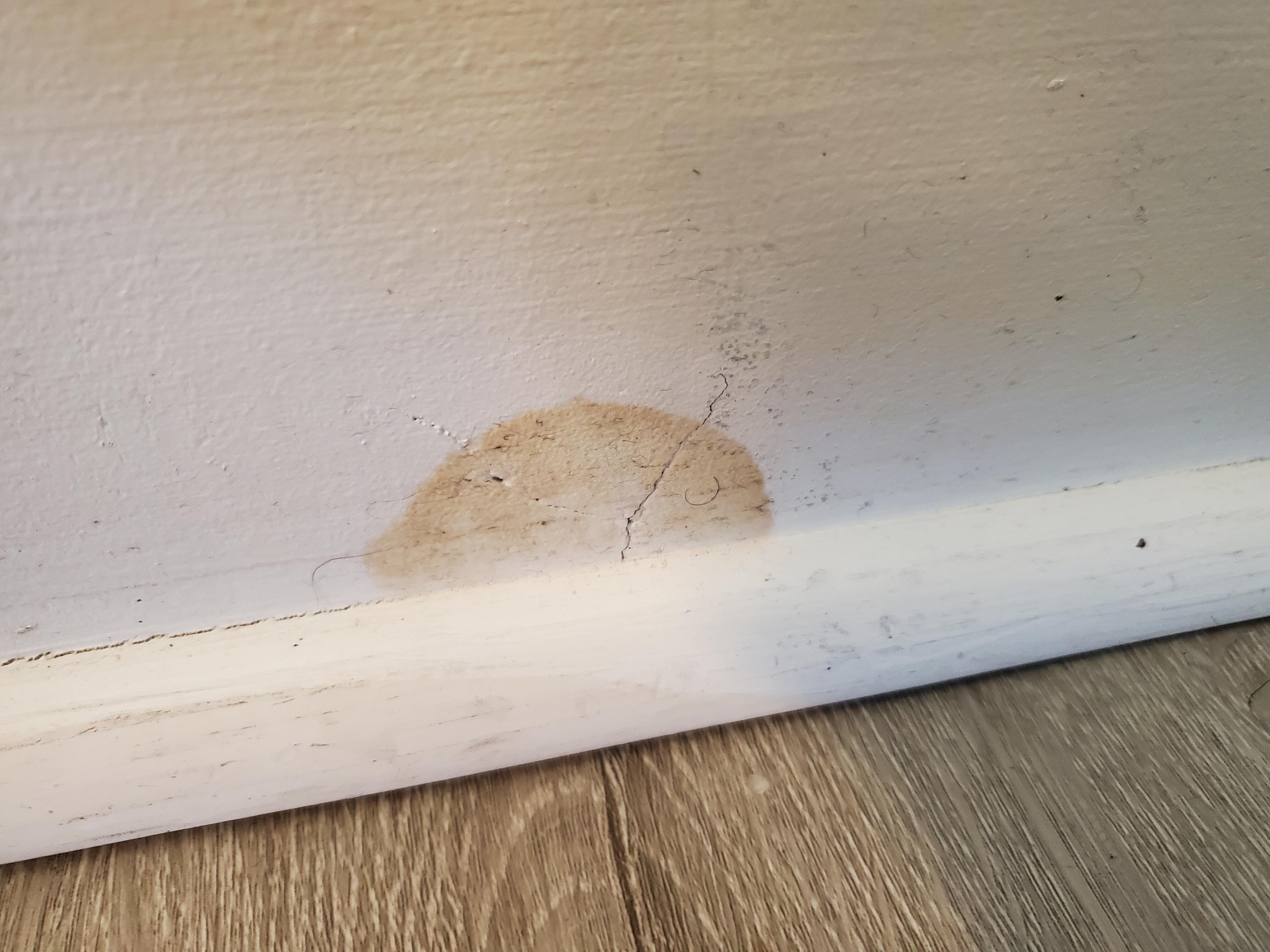 Dirt on walls