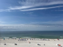 Beautiful view to watch the dolphins play!