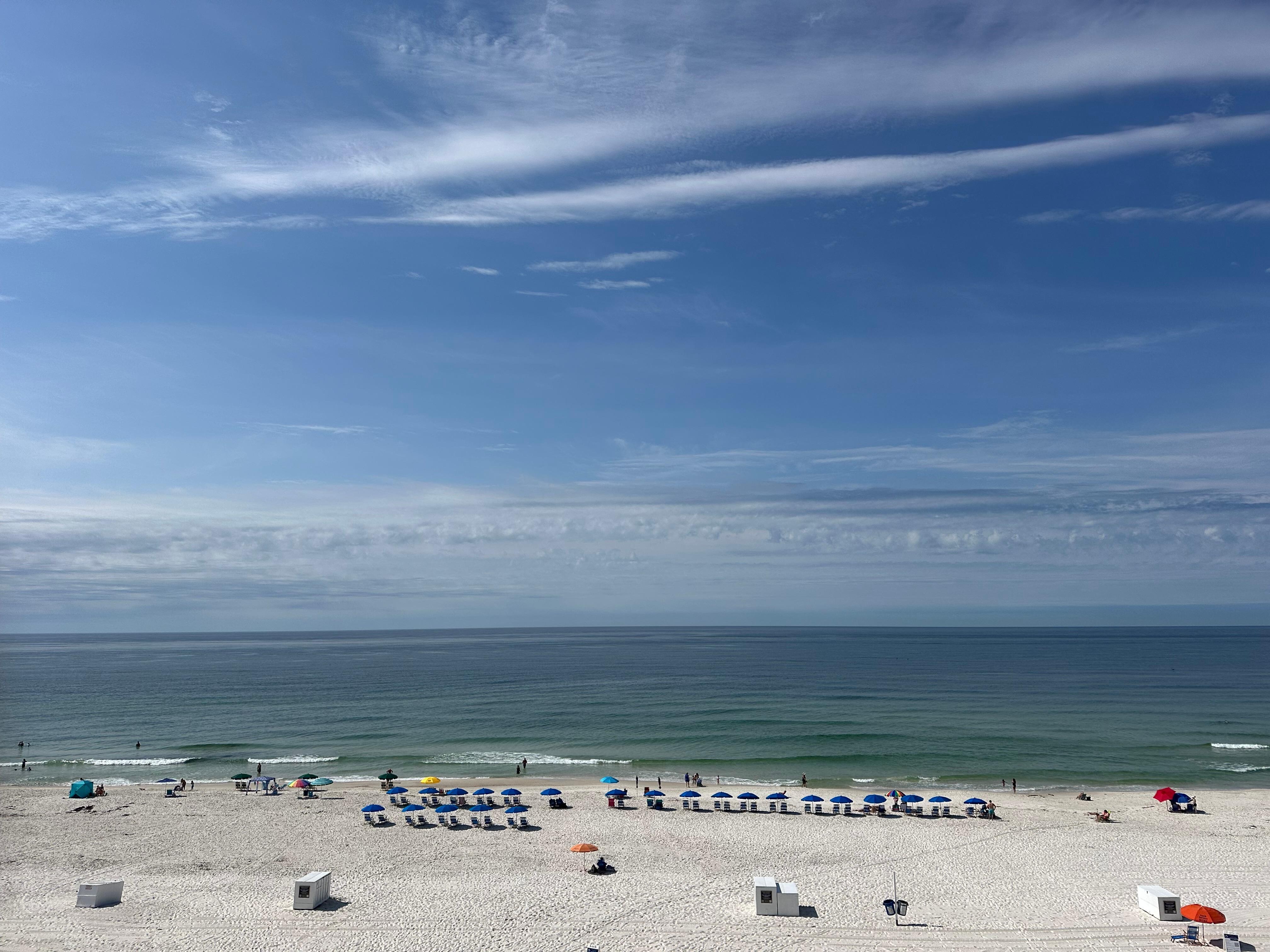 Beautiful view to watch the dolphins play!