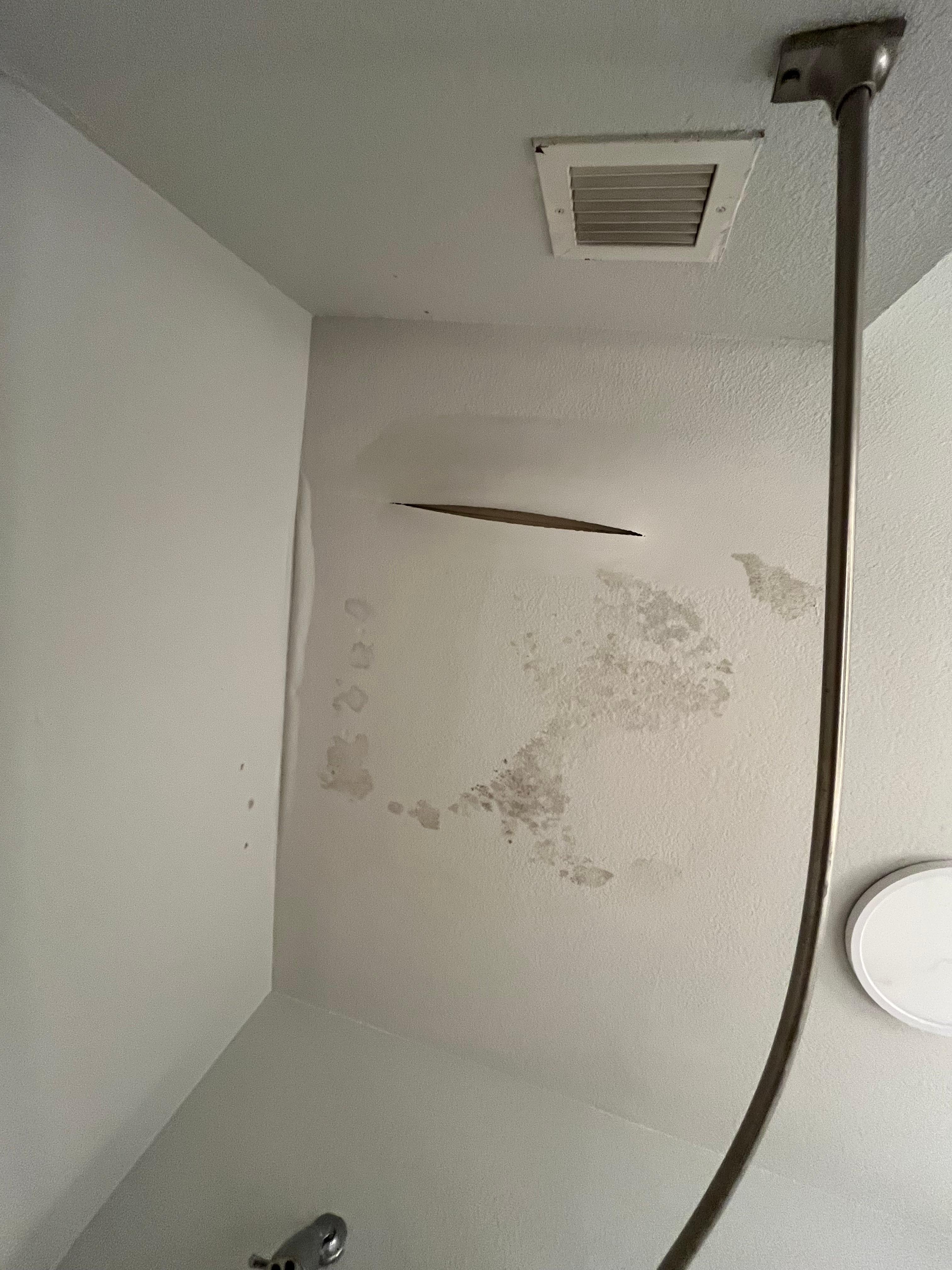 Room 227 Bathroom Ceiling, pic 3 - whole ceiling