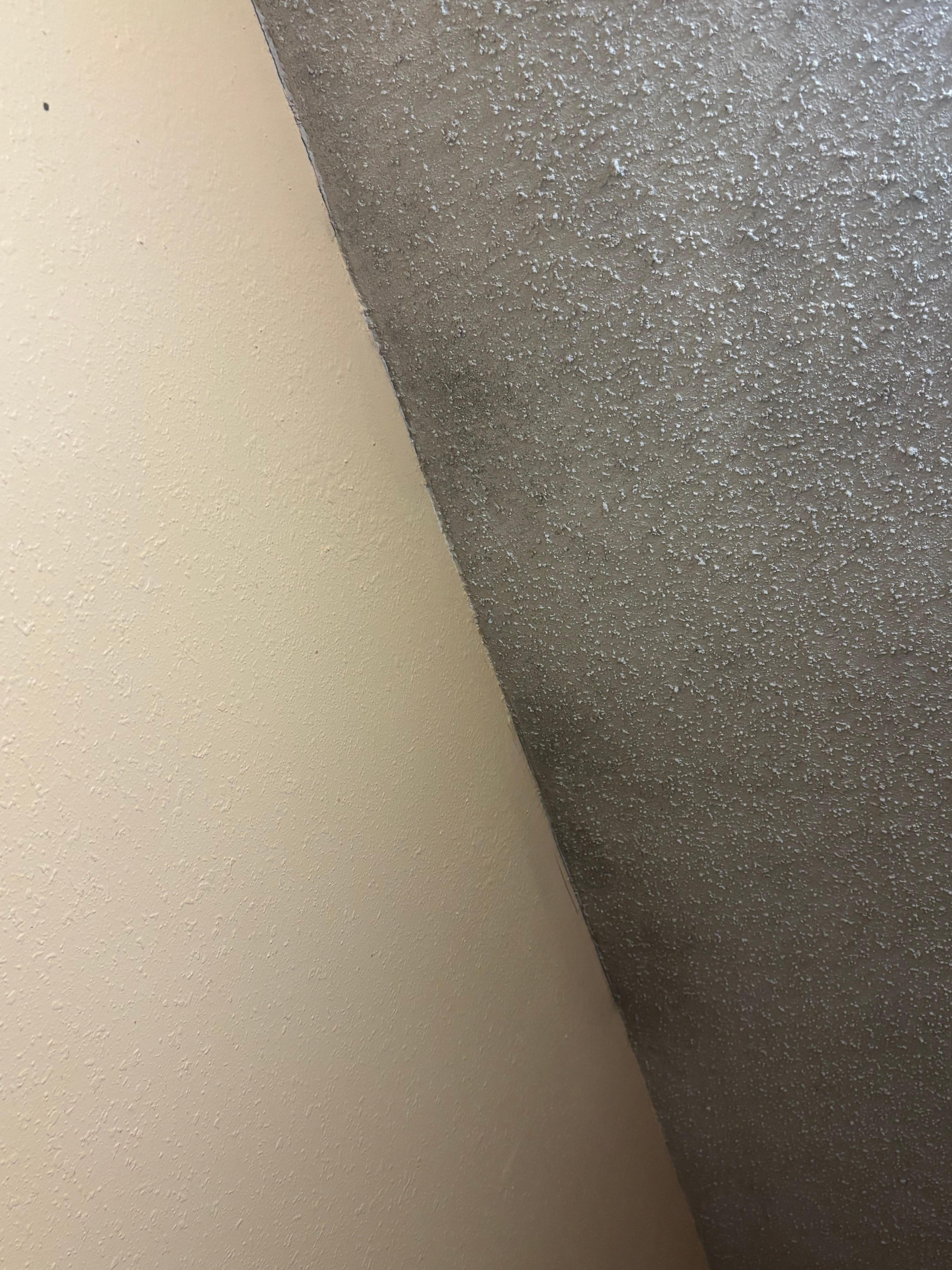 Second room’s ceiling. I am not sure if it’s smoke damage, mold or both.