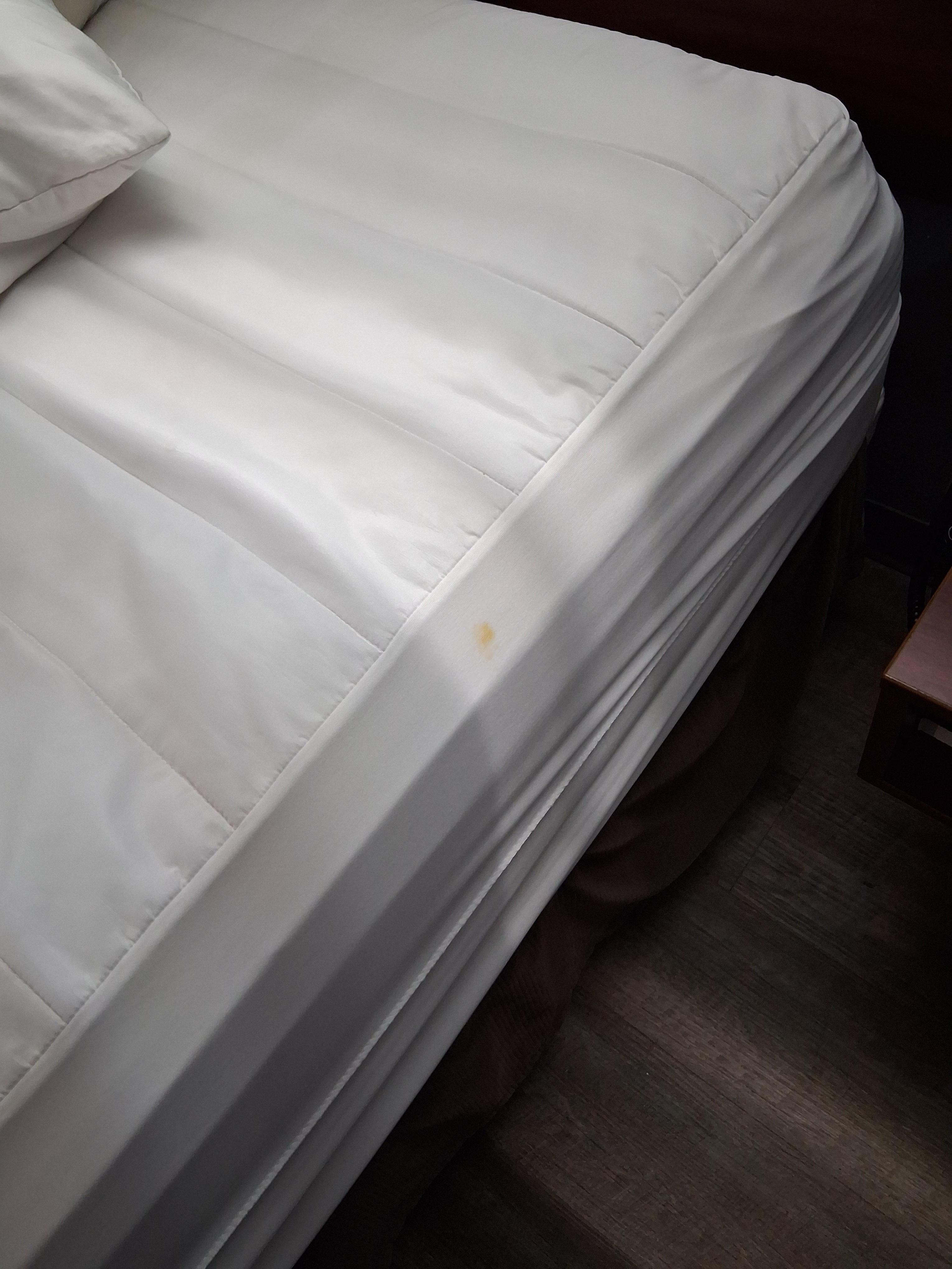 Nasty dried up blood on mattress cover🤢🤮