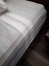 Nasty dried up blood on mattress cover🤢🤮