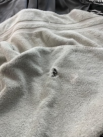 Small hole in my bath towel.
