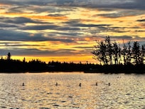 Midnight sun
