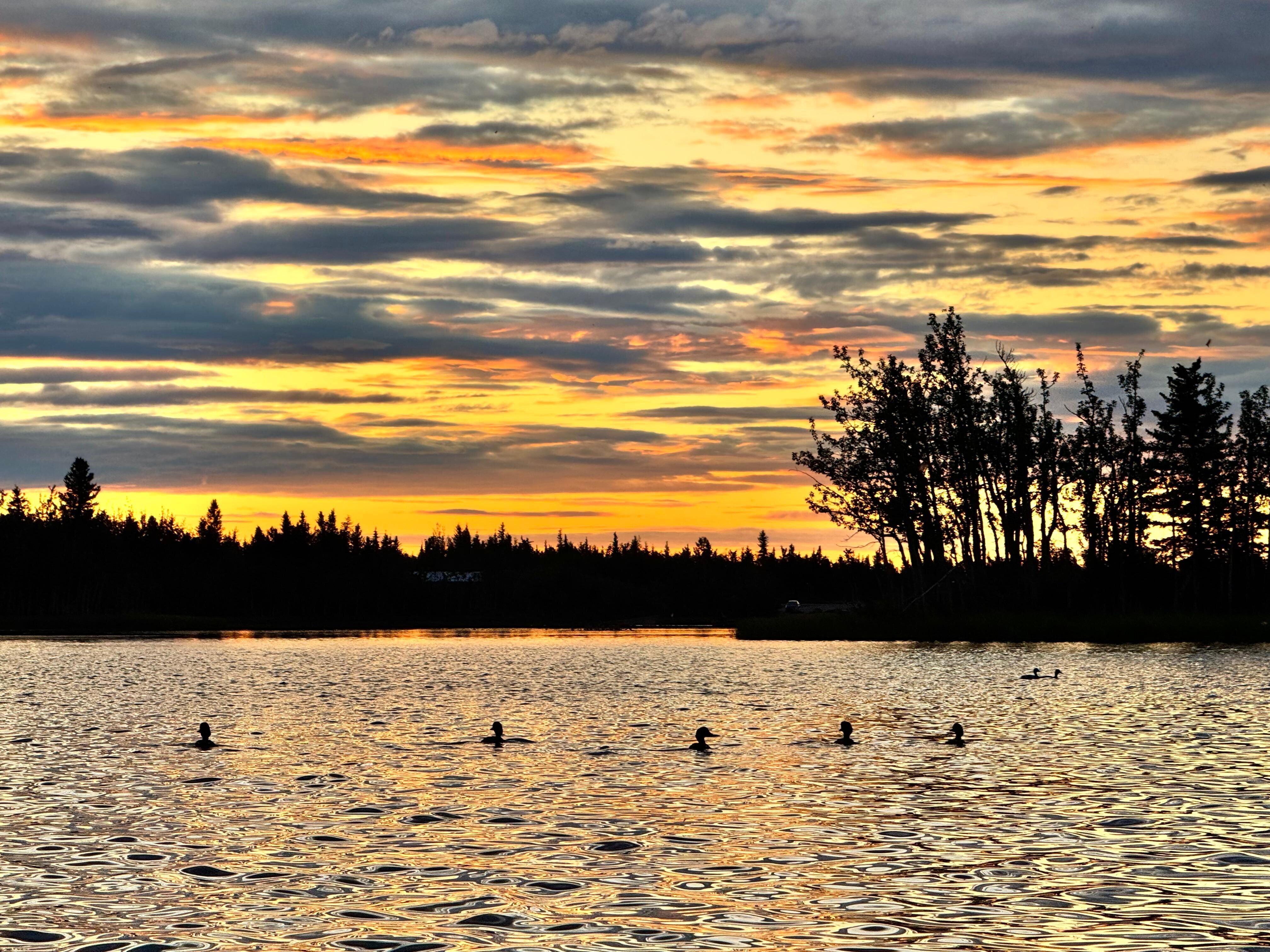Midnight sun