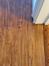 Paint chips all over the floors