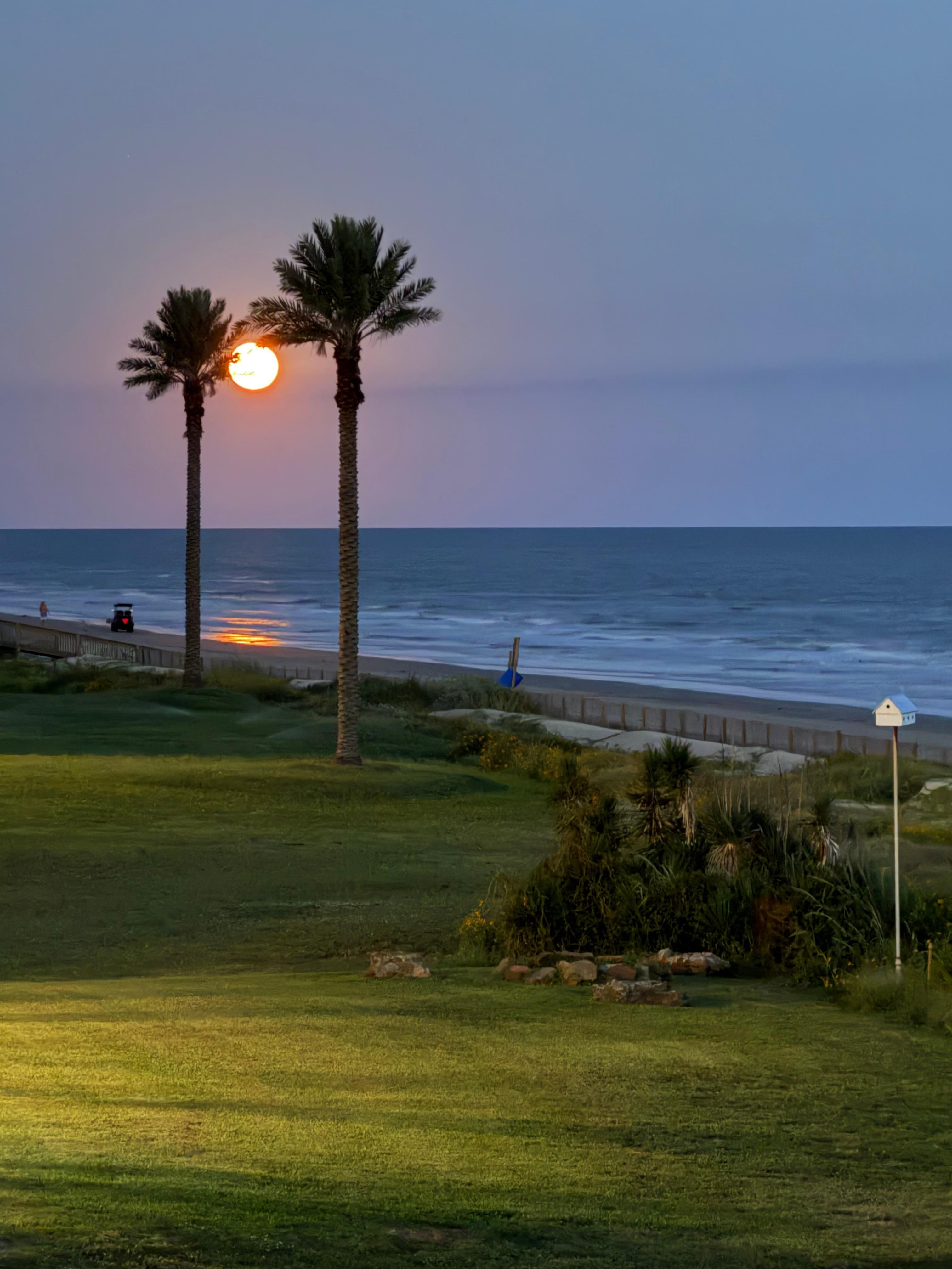 Picture of moon from pool deck. 