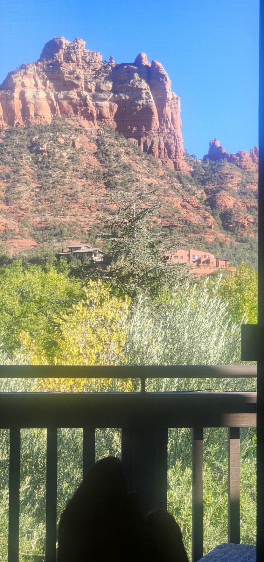 View from bedroom suite