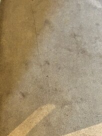 carpet has never been cleaned