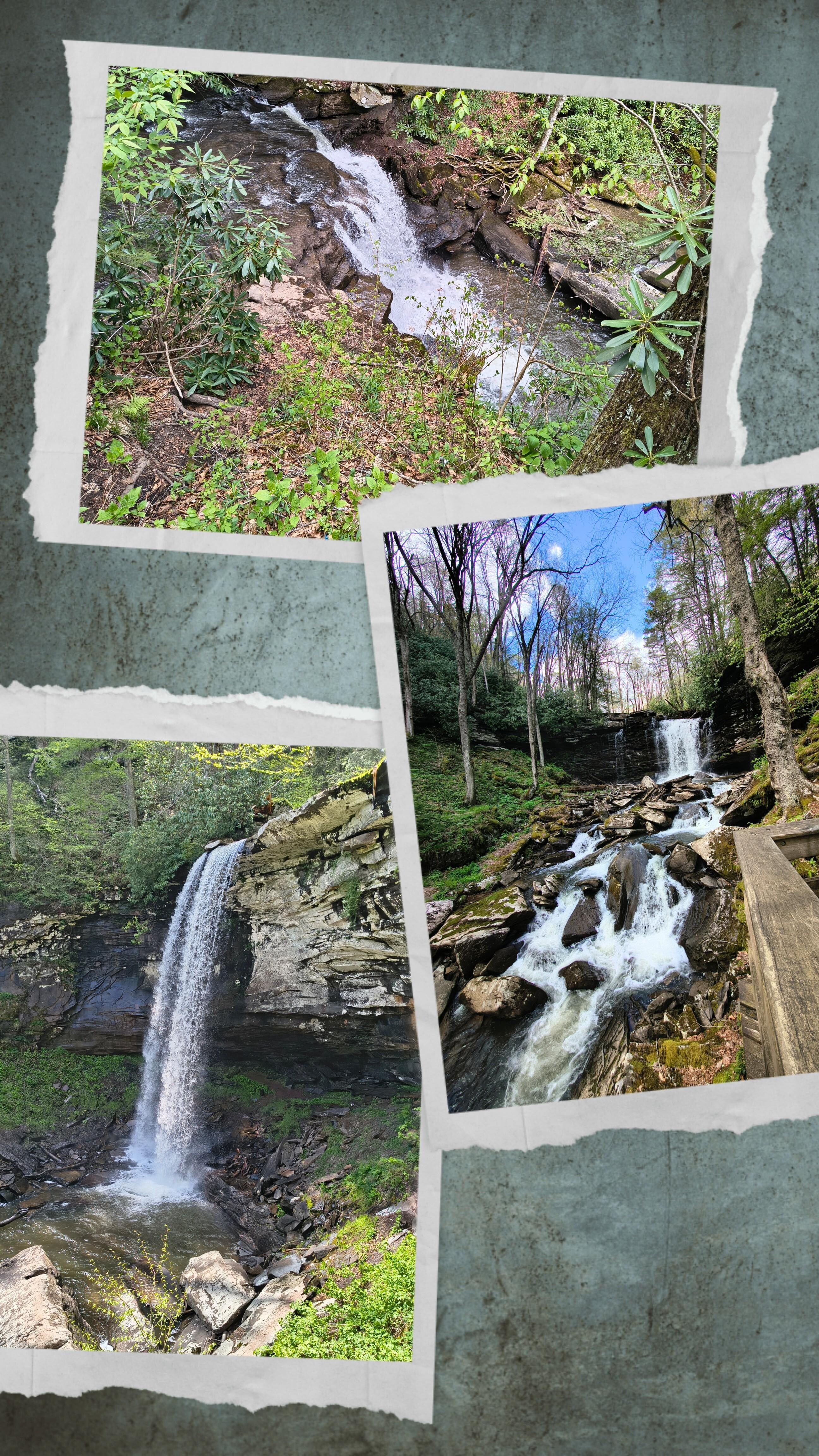 Hills Creek Falls 
