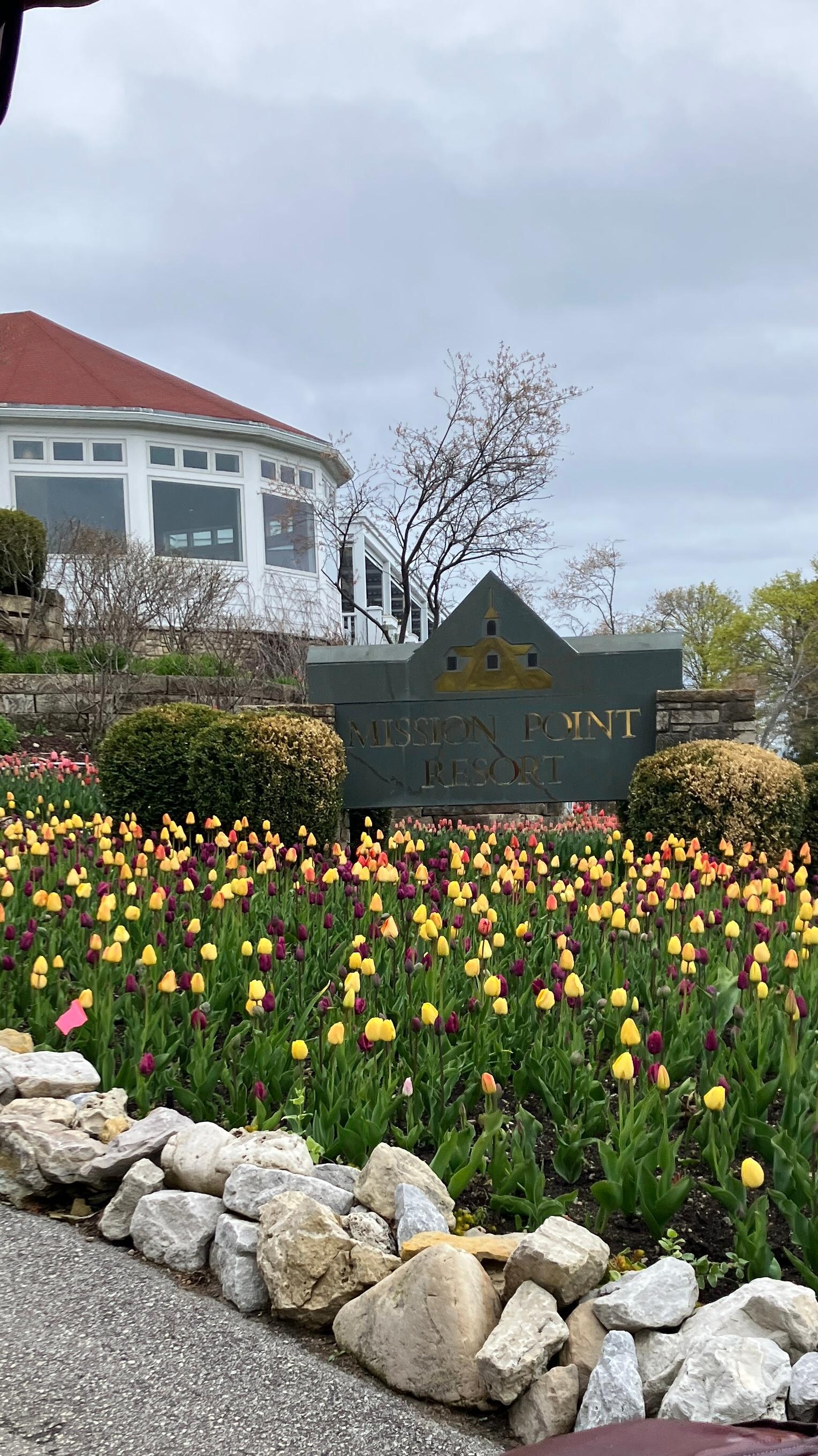 Beautiful flowers adorn the property