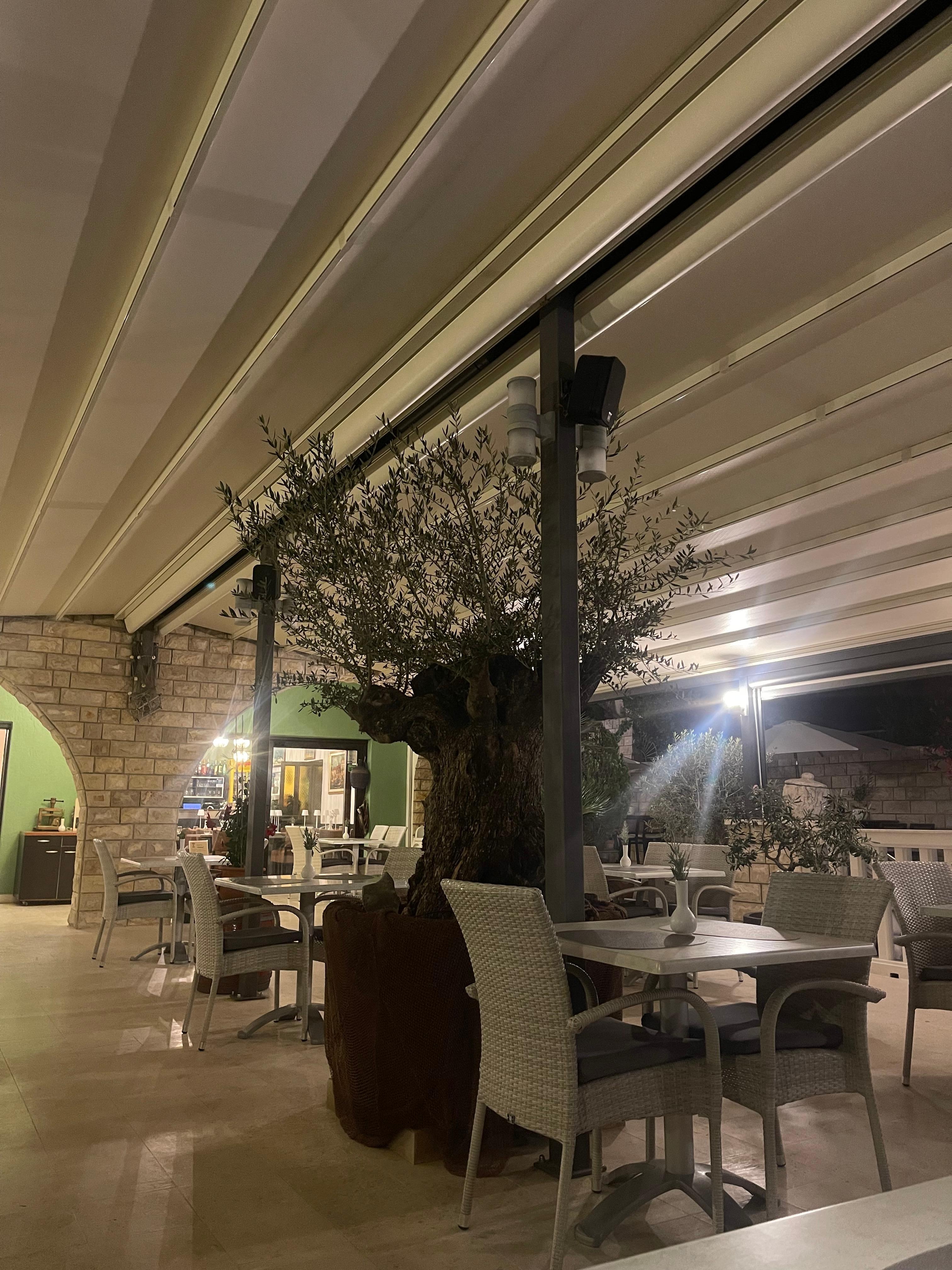 Restaurant terrace
