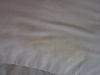 Urine in bed