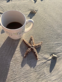 Sunrise walk on the beach with lots of shells