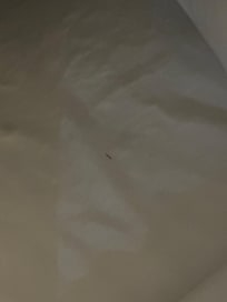 dirty sheets