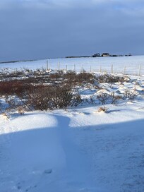 View from our front door.