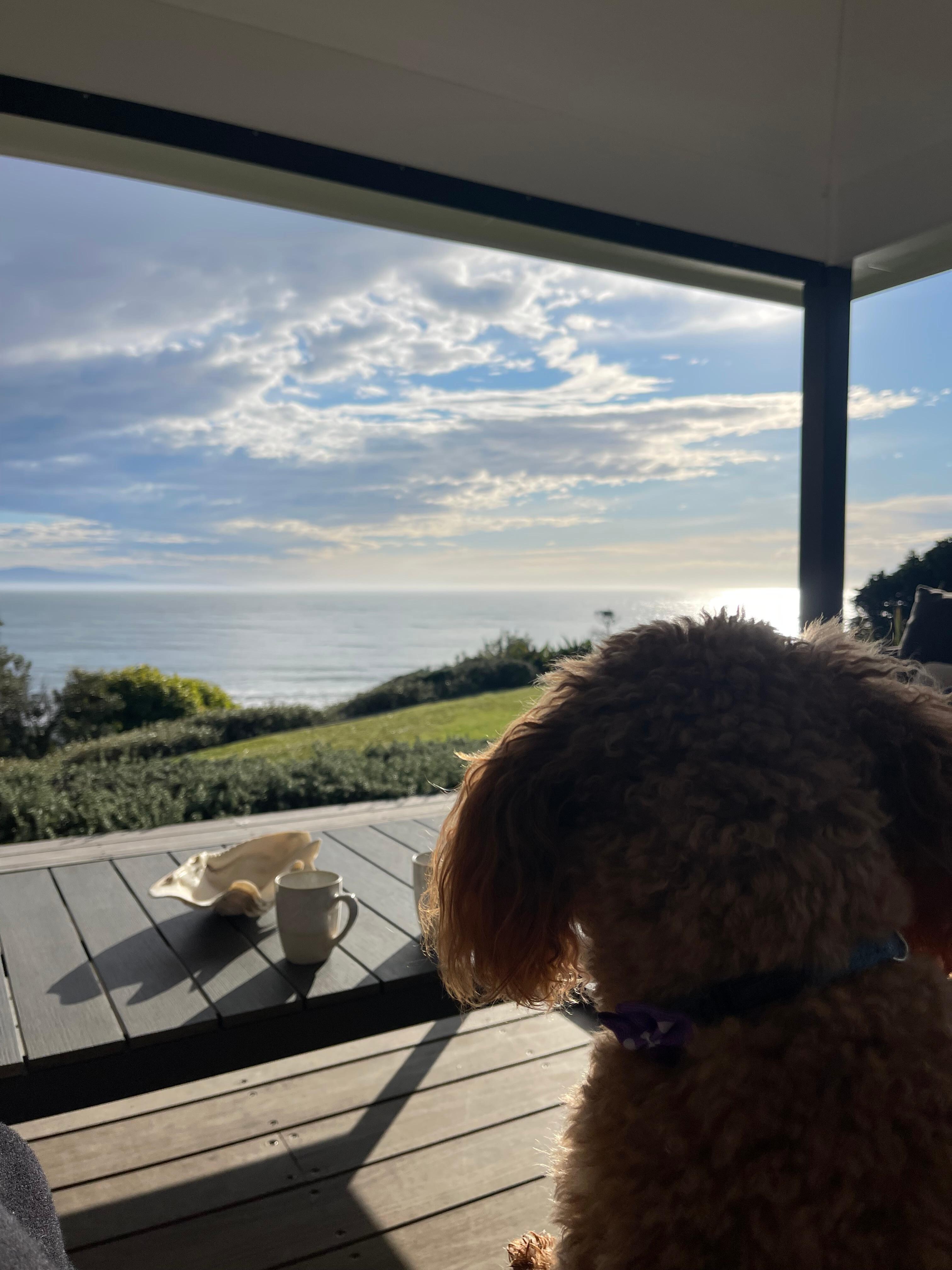 Perfect spot for a cuppa and to enjoy the amazing view.