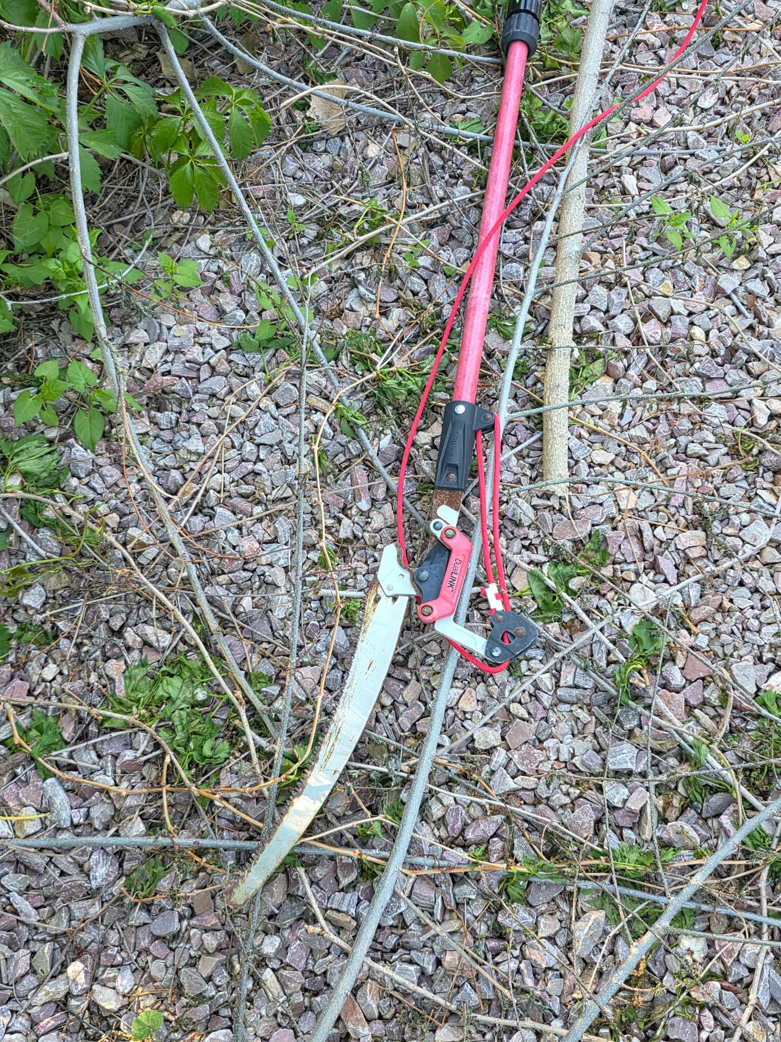 Saw left laying in the yard