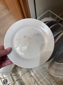 Food on plate after being washed