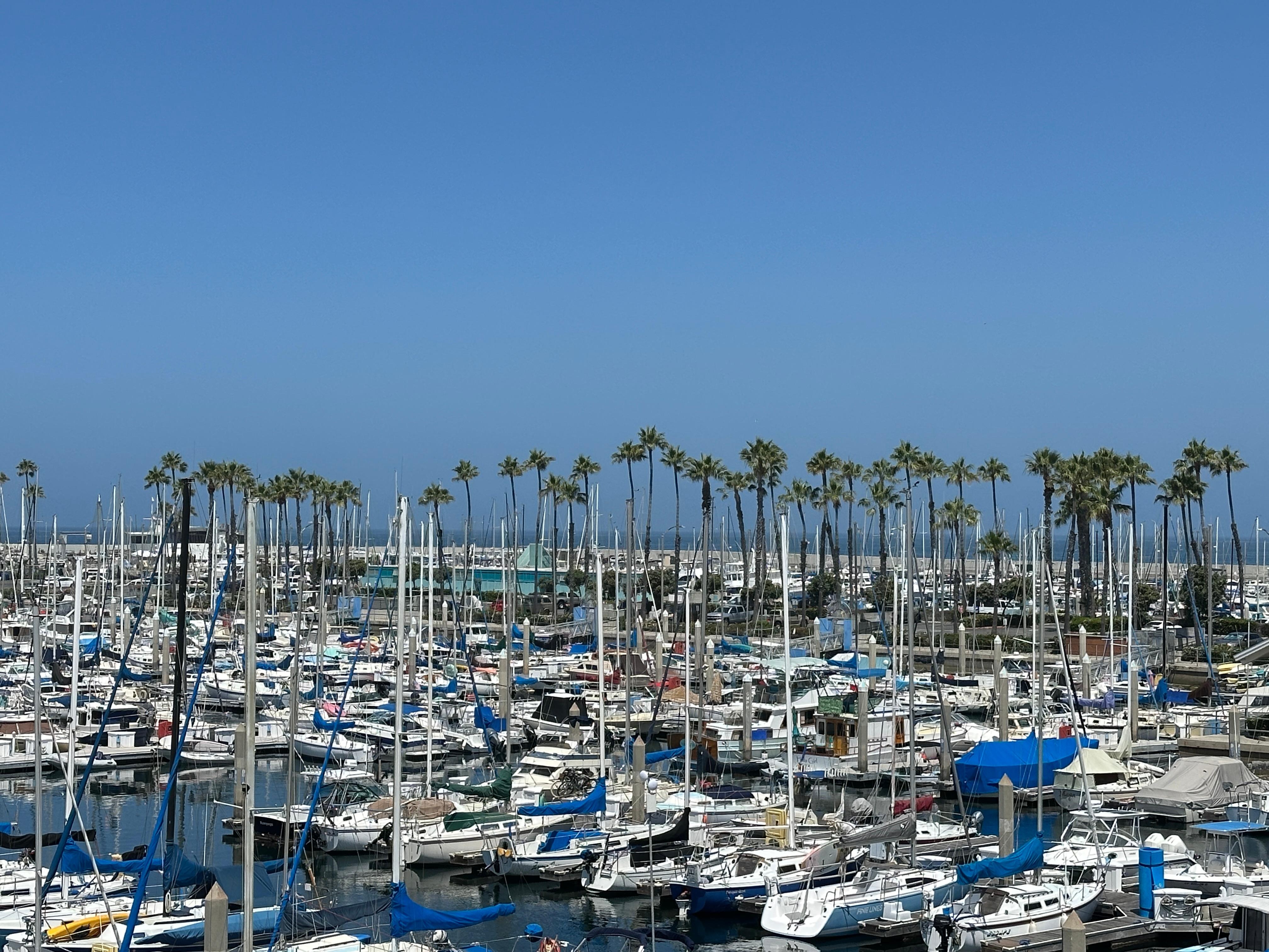 View of the harbor from room.