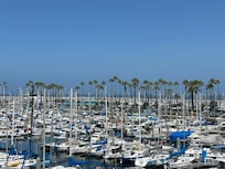 View of the harbor from room.