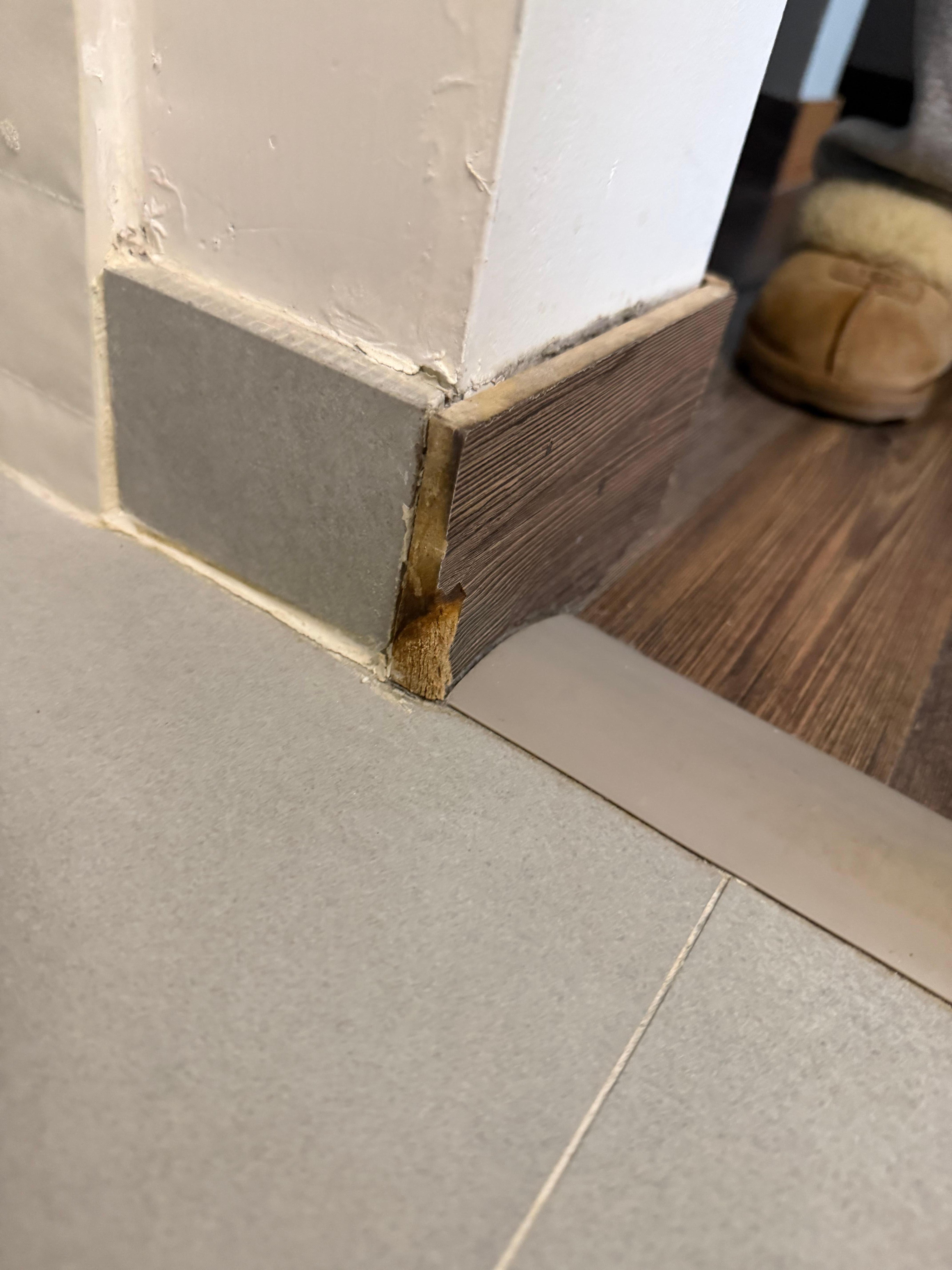 Floor board looks chewed and falling apart 