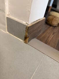 Floor board looks chewed and falling apart