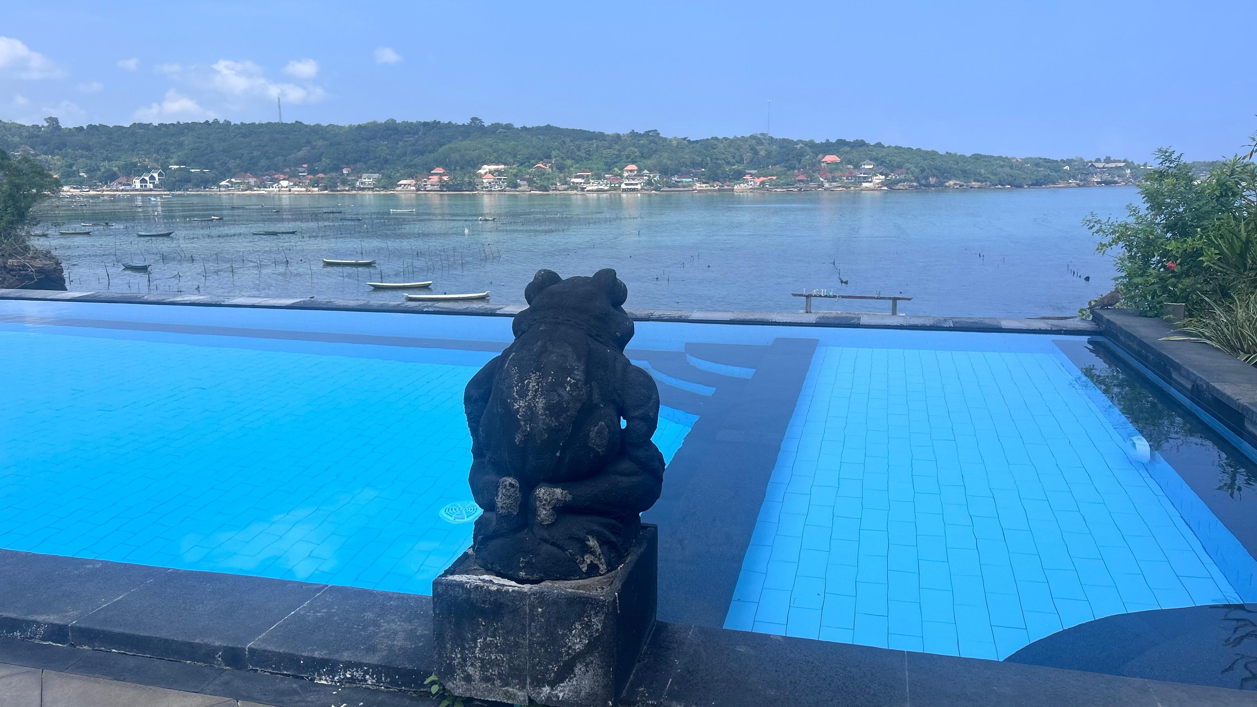 View from pool