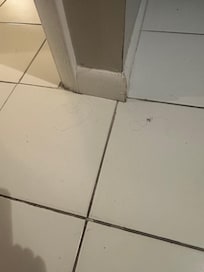 Floors not cleaned