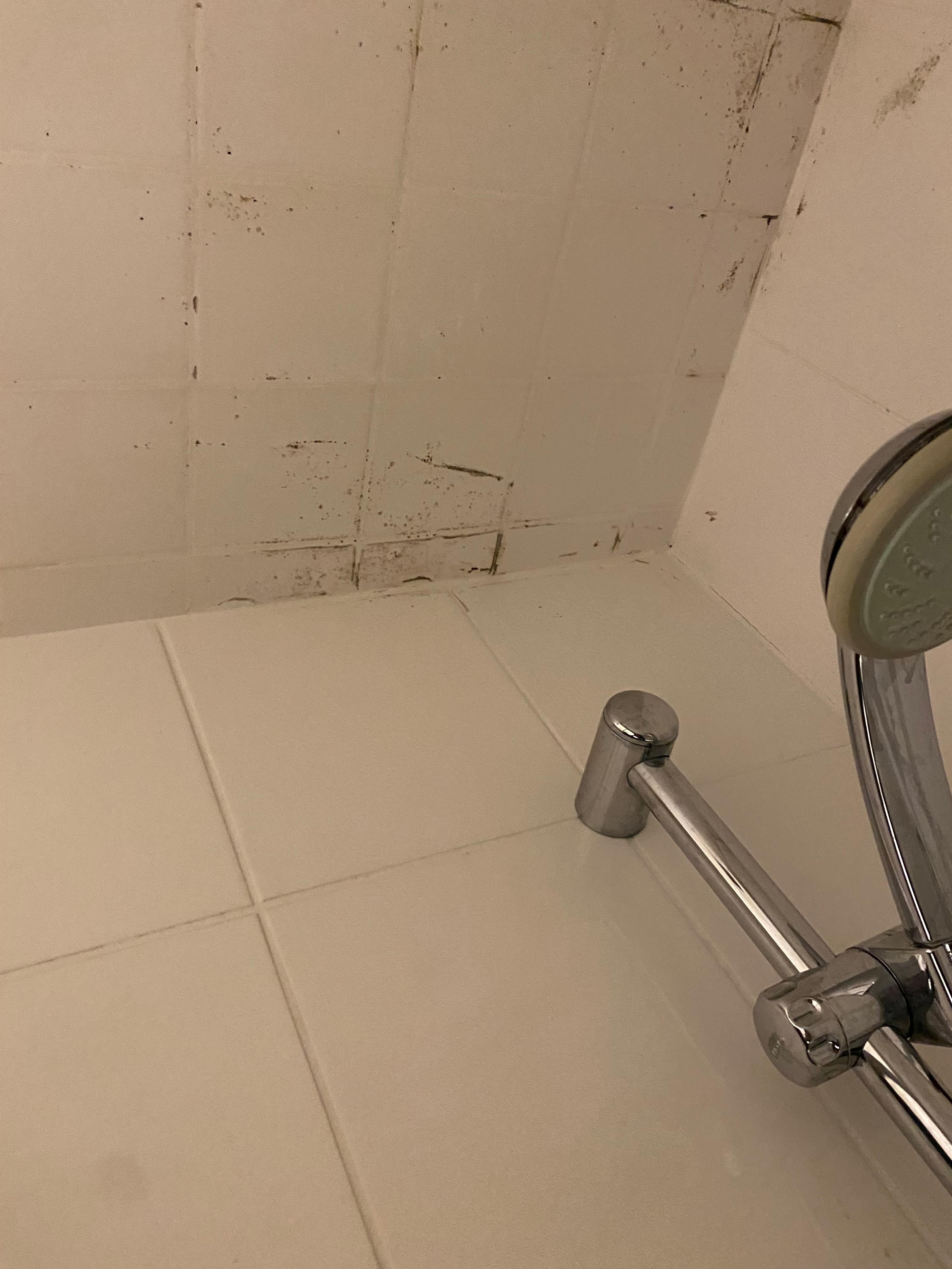 Mouldy shower