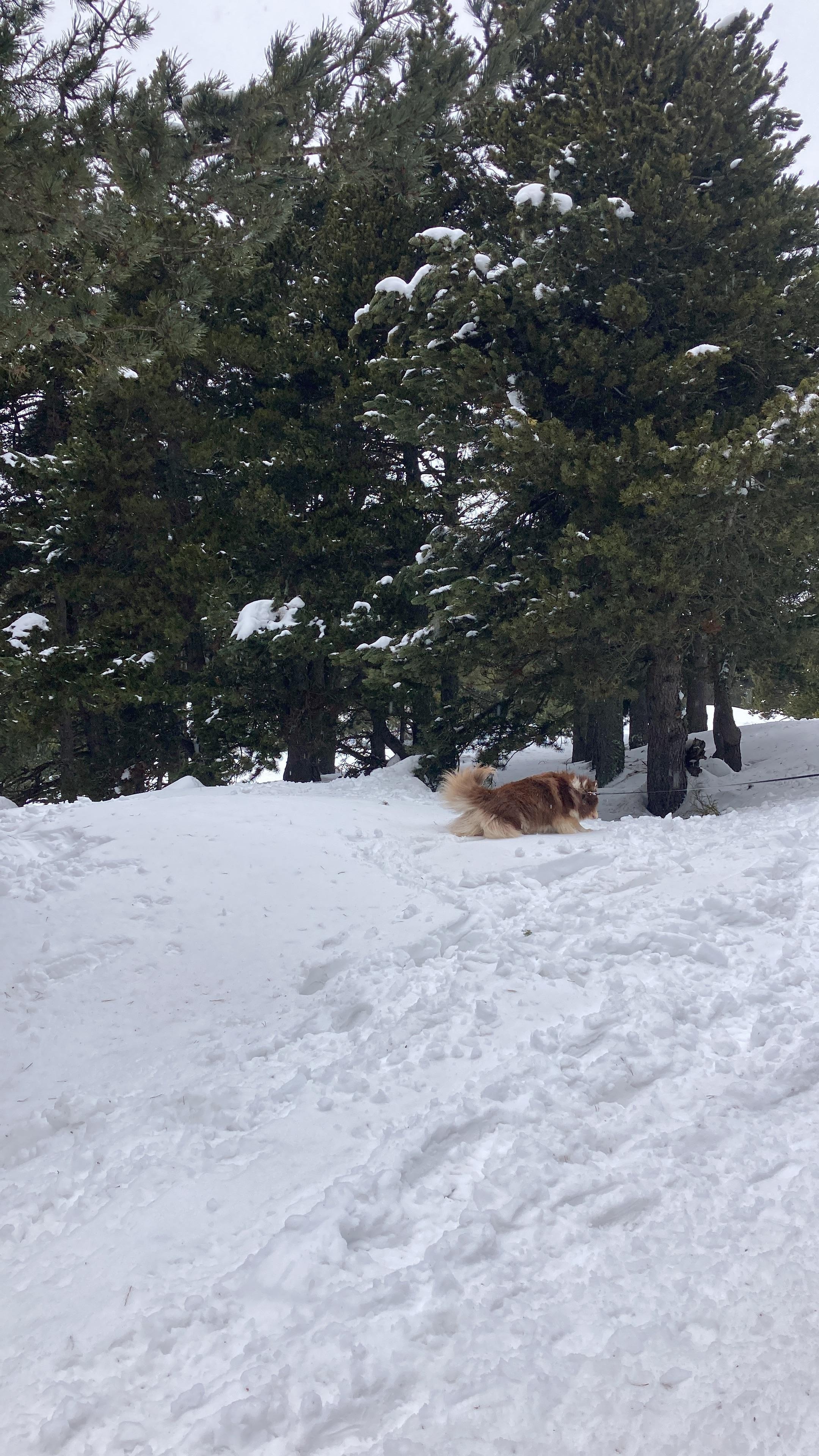 Balade à côté du chalet 