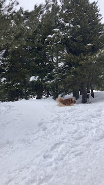 Balade à côté du chalet
