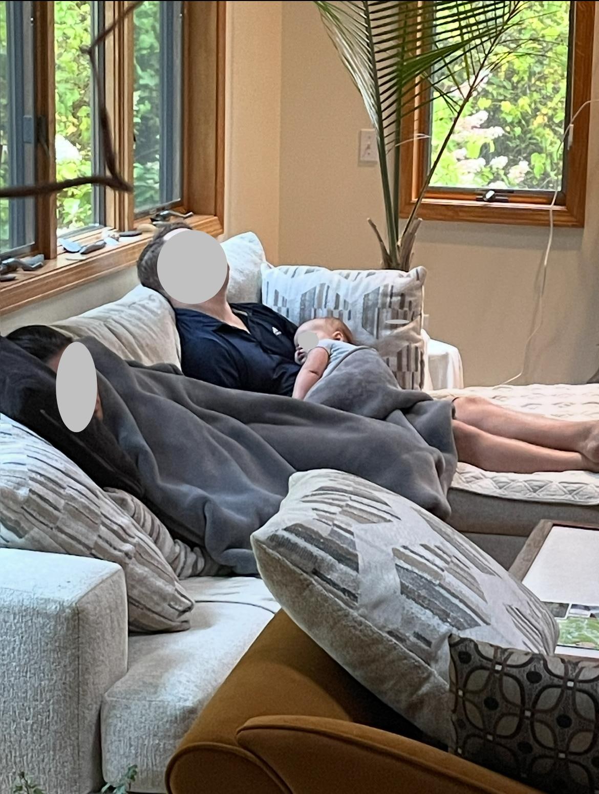 Smoke alarm misfired at 4:30 am. Baby woke up early.  Looks like living room is comfy enough to catch another 40 winks.