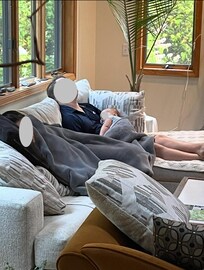 Smoke alarm misfired at 4:30 am. Baby woke up early. Looks like living room is comfy enough to catch another 40 winks.