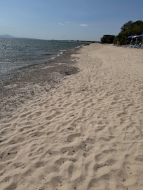 Strand vom Hotel voller Algen. Es richt auch hin und wieder.