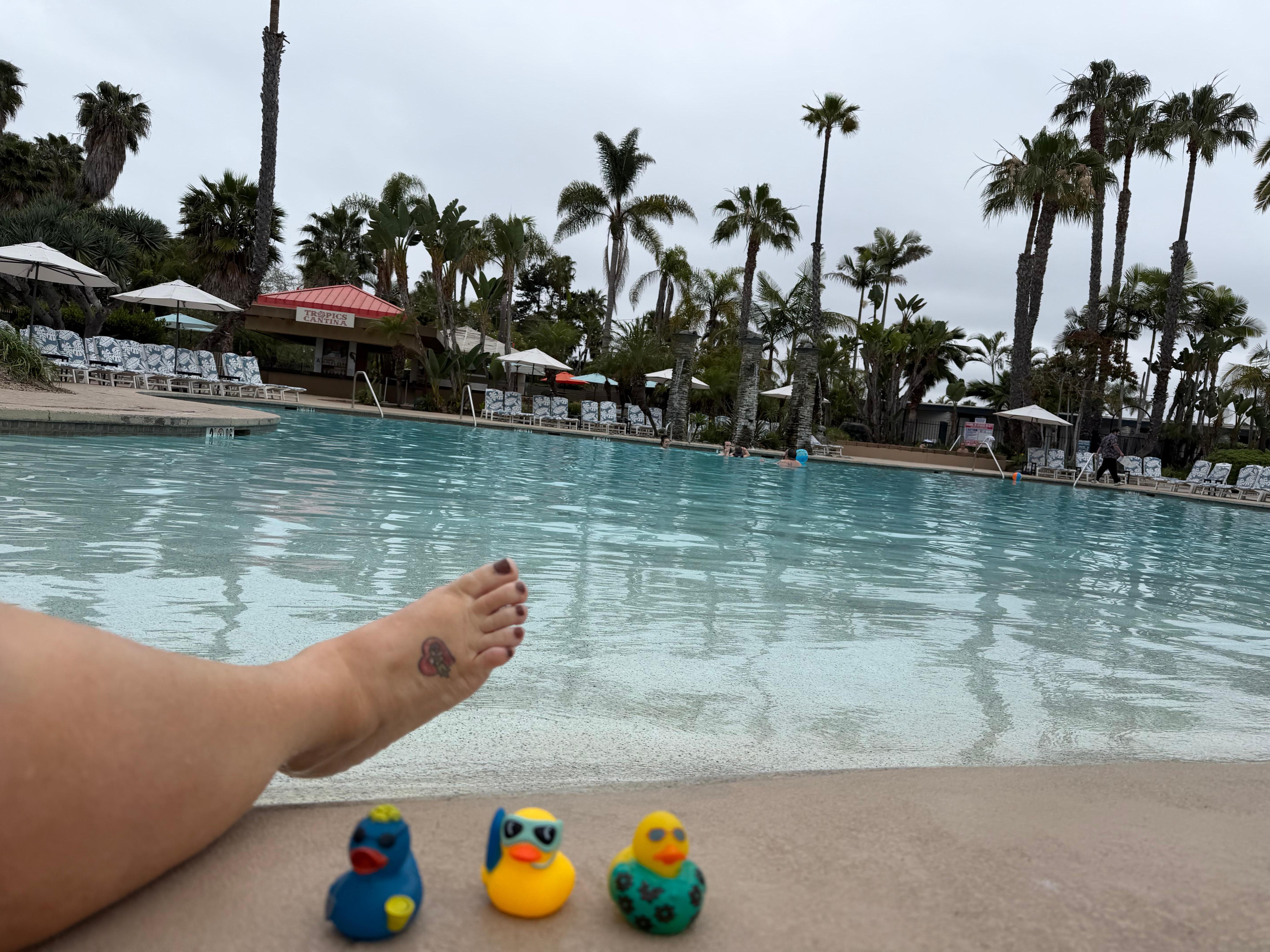 Rubber ducks for the duck challenge 