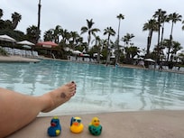 Rubber ducks for the duck challenge
