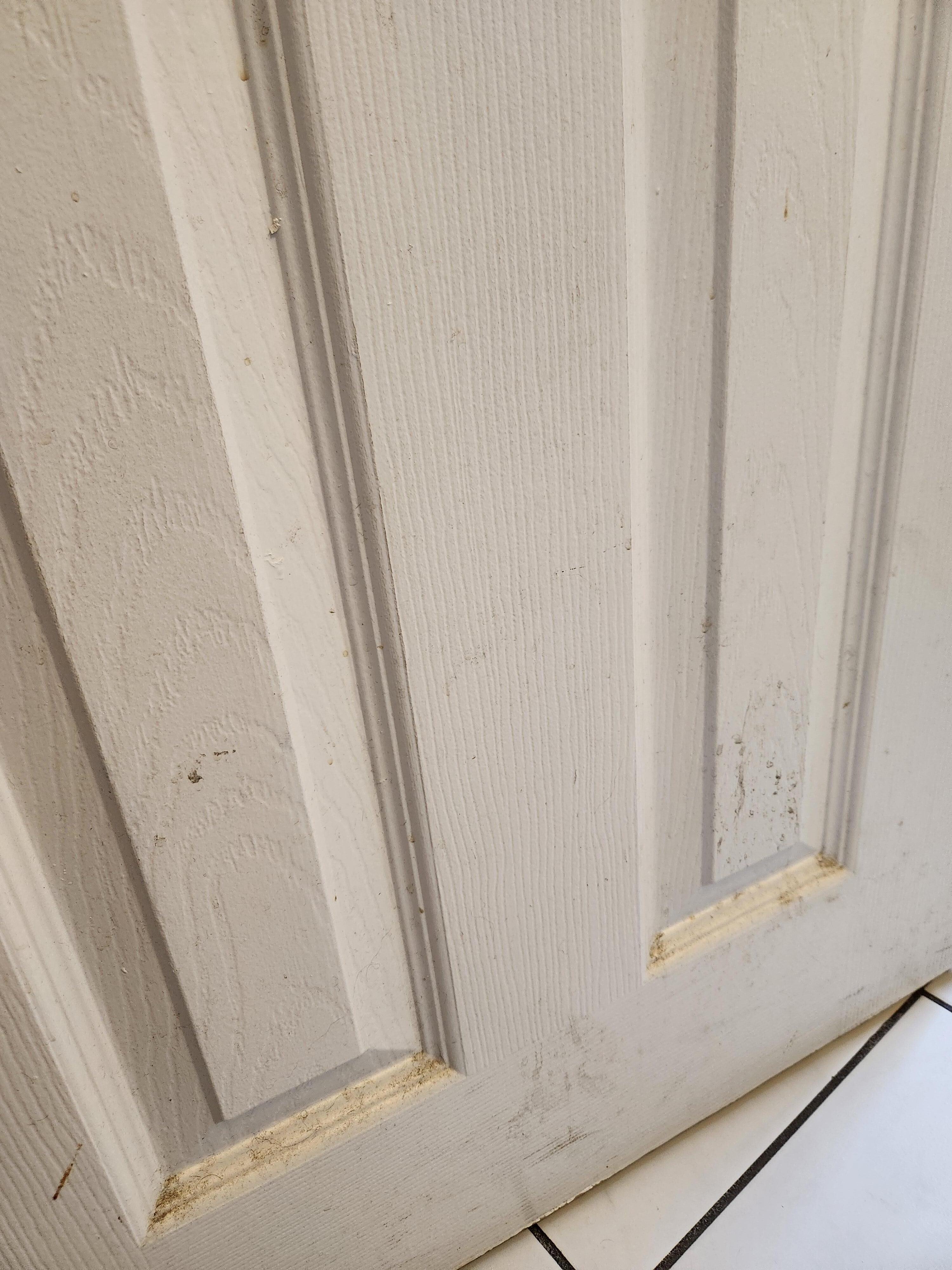 Bathroom door