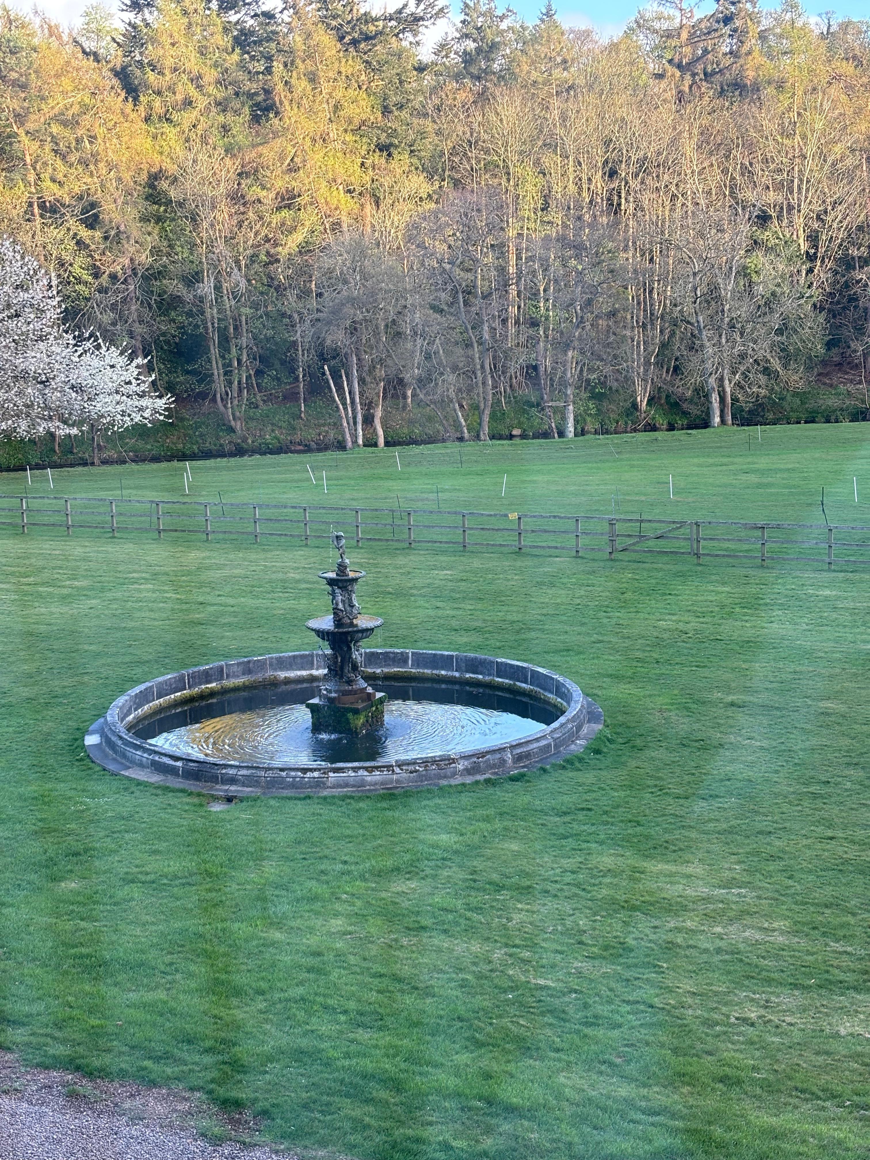 View from our room