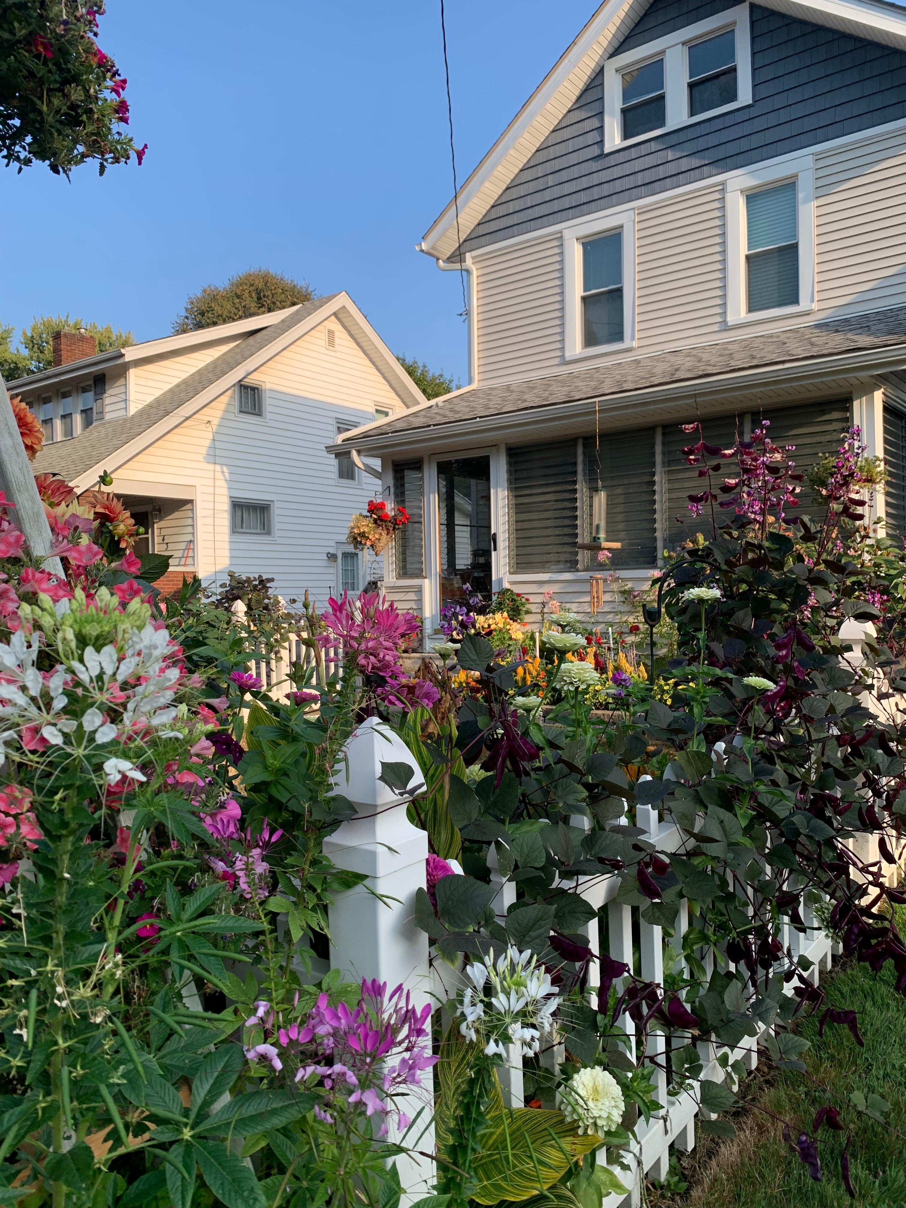 This front yard garden is worth a visit. It is located a couple of blocks from the house on Ido.