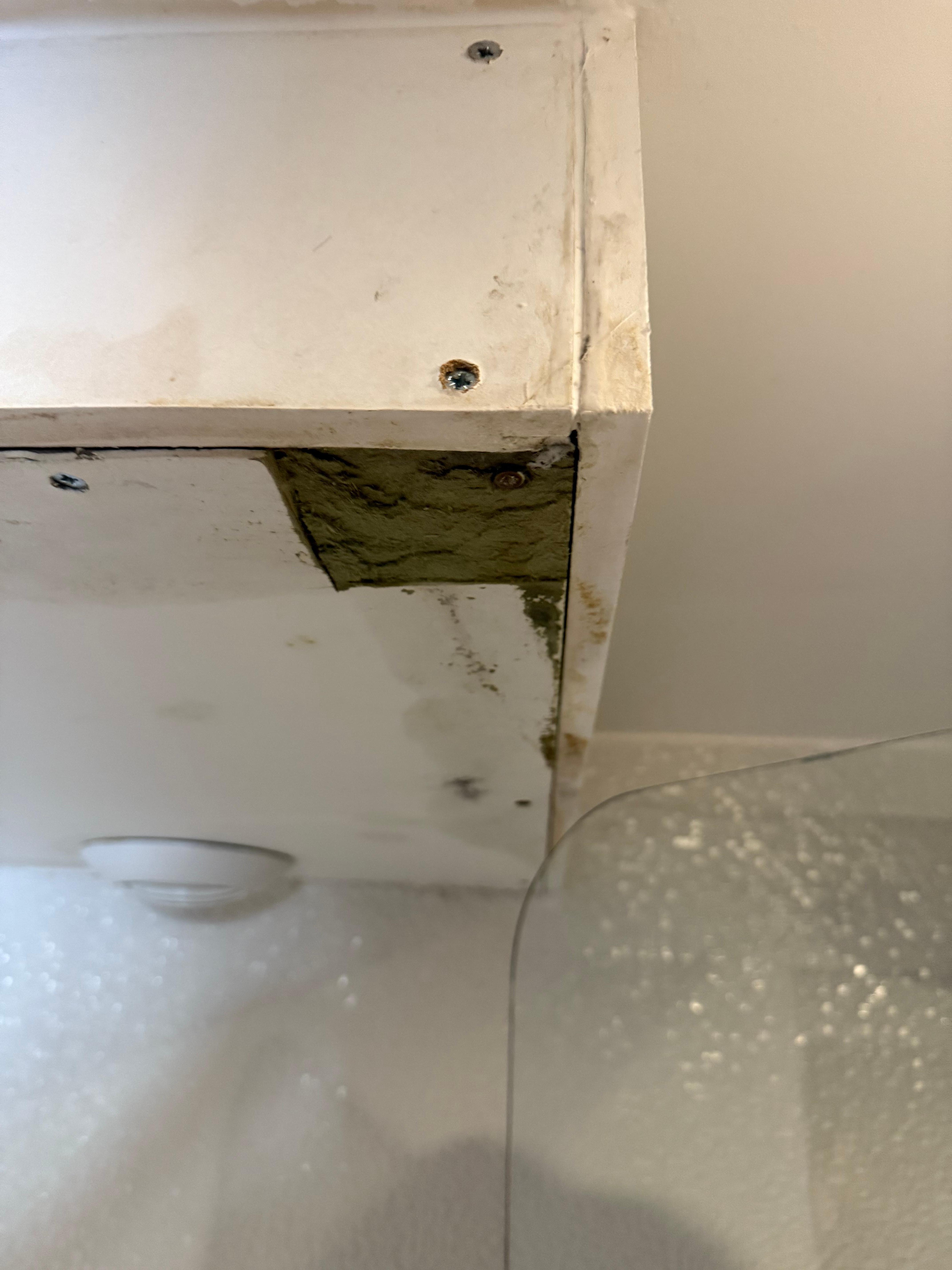 Ceiling in the bathroom