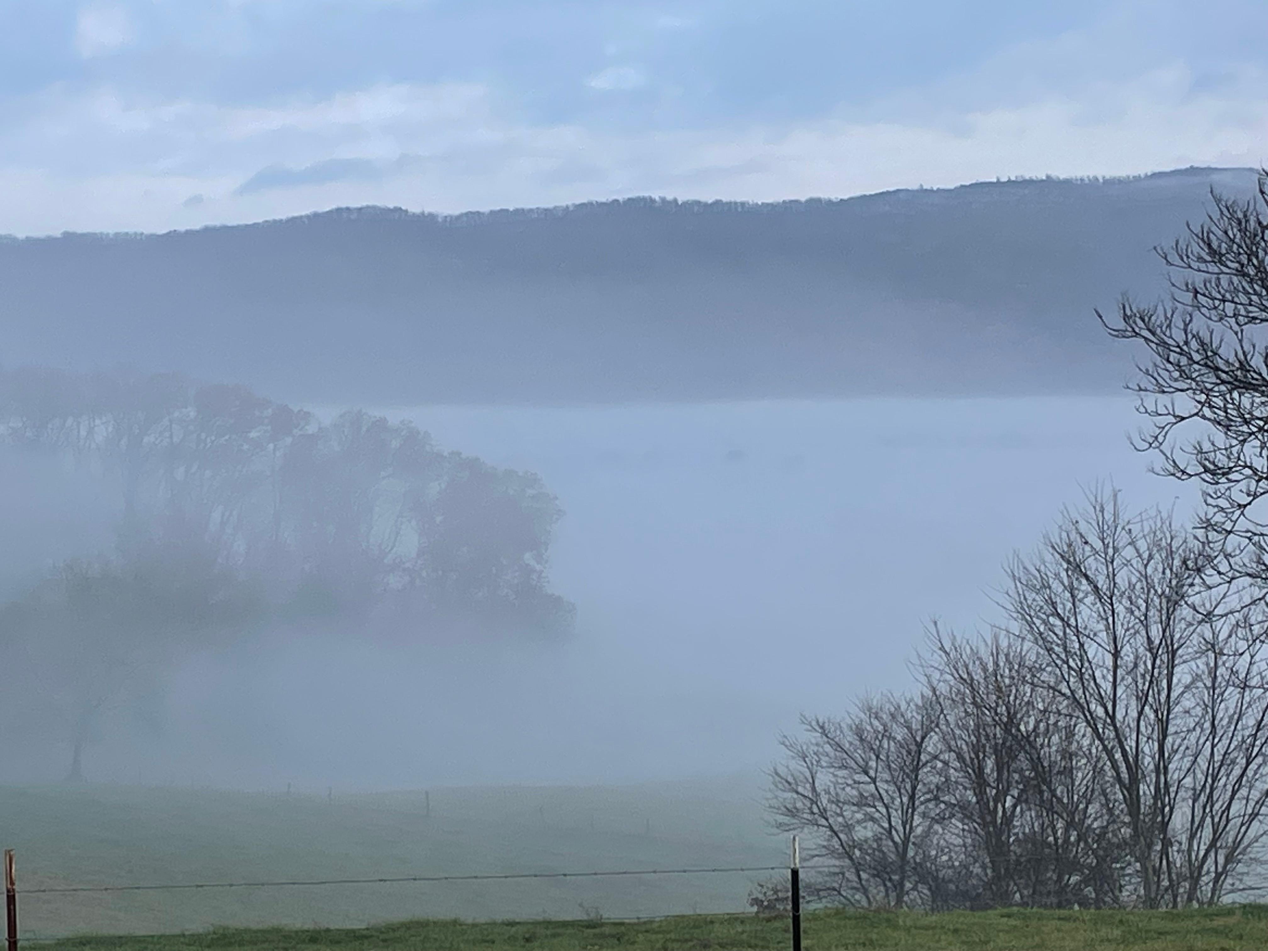 Fog in morning